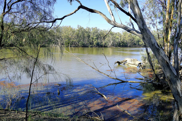 istock Euston,  New South Wales, Australia 1455424168