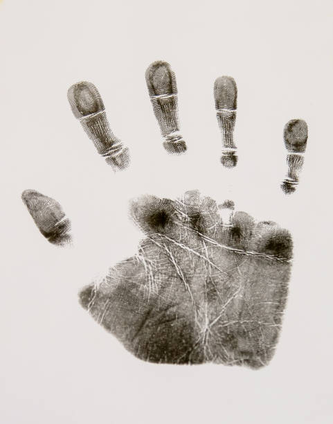 istock Human palm print on white paper with ink 1455424305