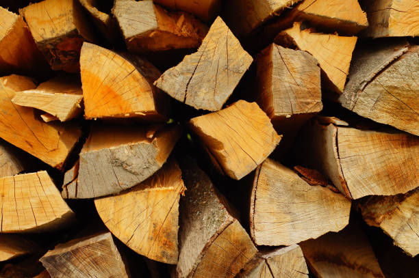 istock Firewood is stacked up to dry 1455425750