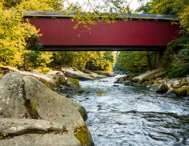 istock Bridge over water stream between rocks and greenery on a sunny day 1455429840