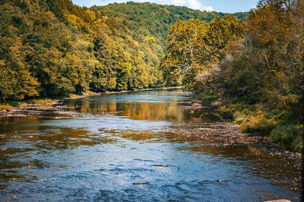 istock River between autumn trees with mountain in the background 1455429847