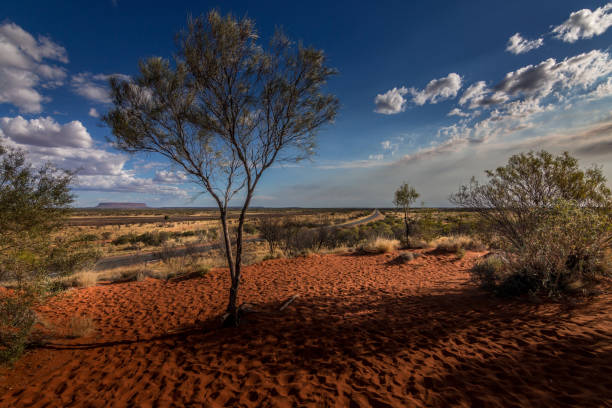 istock Australian park with a few trees here and there under a blue sky littered with bright clouds 1455431609