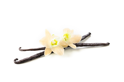 Front view of two vanilla pods and vanilla flowers isolated on white background