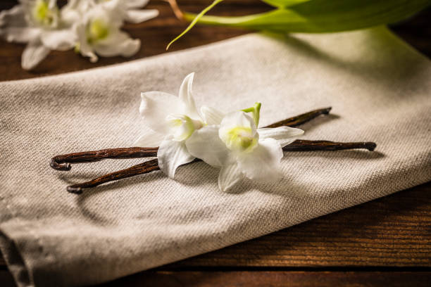 fèves de vanille et fleur sur une table en bois - vanilla photos et images de collection