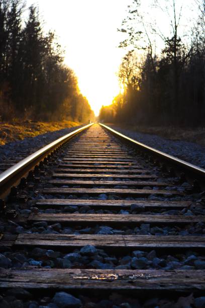 istock Vertical shot of a railway between leafless trees at sunset 1455432034