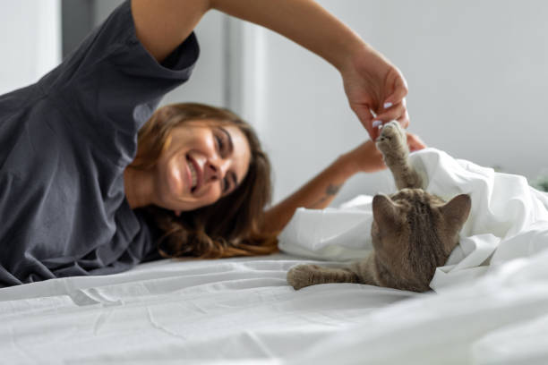 istock Woman with cute cat resting at home 1455433616