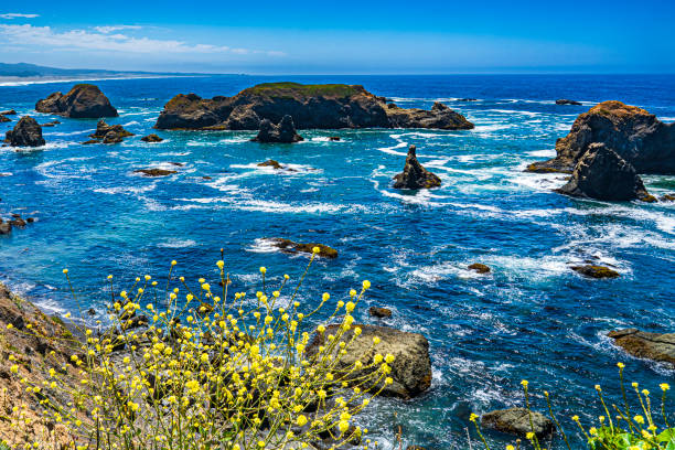 istock Beautiful image of a rocky coastline with a scenic view 1455436742