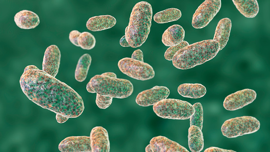 Bacteria Aggregatibacter, 3D illustration. Aggregatibacter aphrophilus and A. actinomycetemcomitans, Gram-negative bacteria, part of the normal flora of the mouth and throat, also cause endocarditis