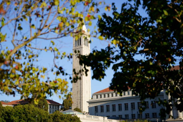 istock White city tower with tree twigs on the foreground 1455437926