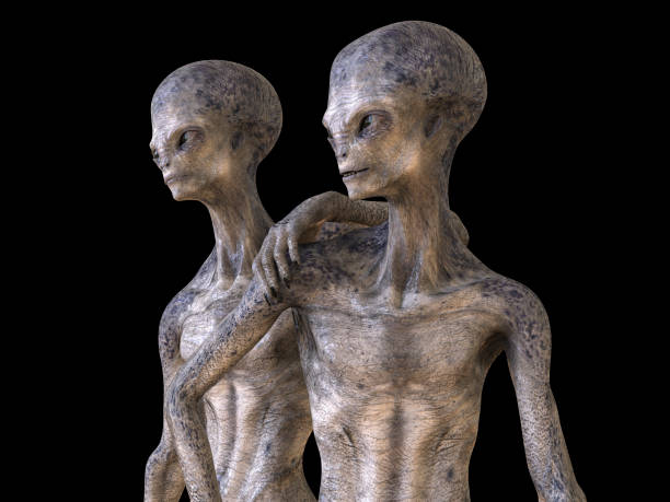 Humanoid alien, 3D illustration Two humanoid aliens looking aside from camera with photo realistic highly detailed skin texture, 3D illustration alien grey stock pictures, royalty-free photos & images