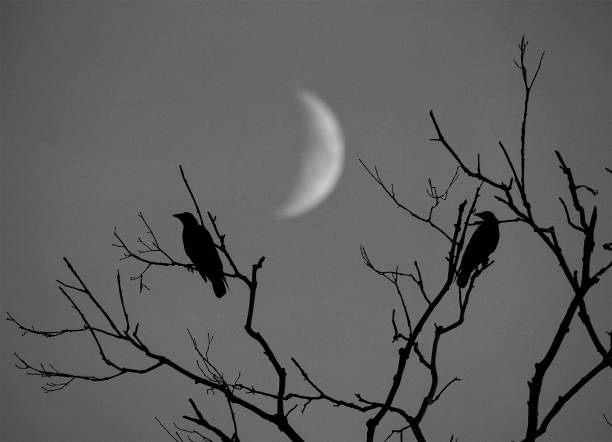 Spooky Halloween-themed wallpaper with silhouettes of crows sitting on leafless trees under the moon