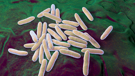 Bacteria Cardiobacterium hominis, 3D illustration. Gram-negative bacterium normally present in mouth, nose and throat and can be the cause endocarditis.