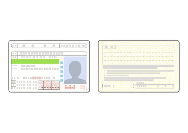 Vector illustration of Illustration of the both side of a green driver's license (for novice driver)