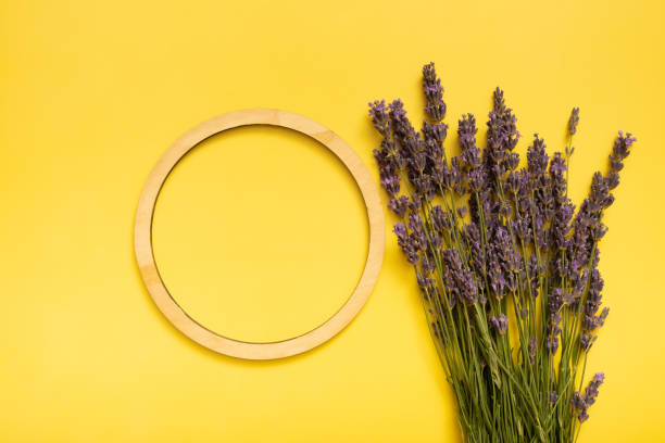 istock Lavender flowers on colored background top view. Copy space in round frame 1455441787