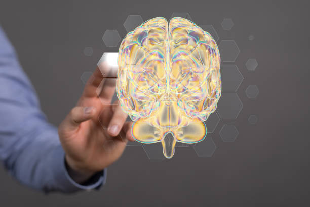 istock 3D rendering of digital brain with hand touching it from behind-brain network and digital IQ concept 1455444788