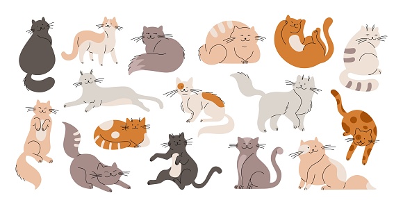Doodle flat cats, funny fur cat and kittens. Cute pets isolated characters. Cartoon animals sleep, play, sitting. Racy fluffy animals vector kit of fur kitten and pet cartoon illustration