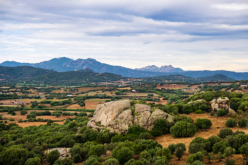 Landscape in Gallura, with granite rocks and mountain in background