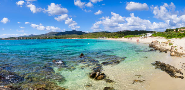 istock Spiaggia Bianca, a beautiful crescent beach in Gallura - Sardinia 1455446914