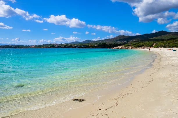 istock Spiaggia Bianca, a beautiful crescent beach in Gallura - Sardinia 1455447689