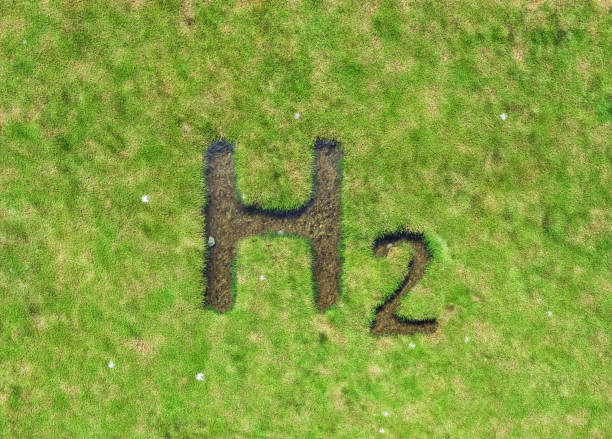 녹색 초원에 새겨진 h2 비문 - letter h alphabet three dimensional shape green 뉴스 사진 이미지