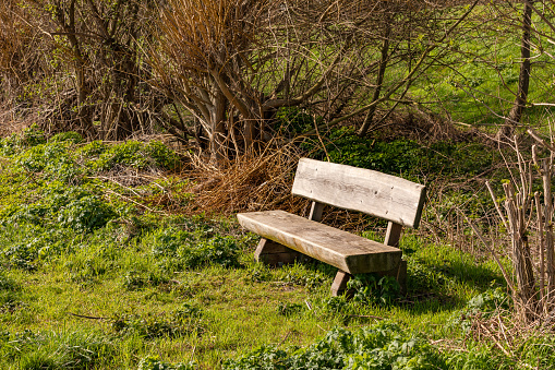 A wooden park bench in the meadow, Germany