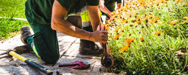 istock Worker in a special uniform fixing the tubes in the yard 1455450080