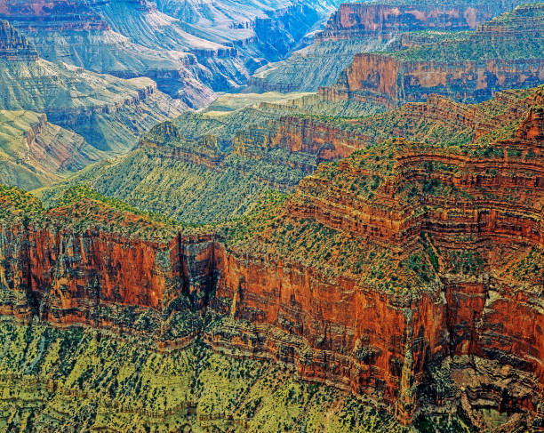 istock Grand Canyon, Arizona 1455452500