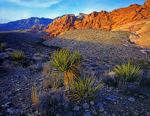 istock Red Rock Canyon in Nevada 1455452507