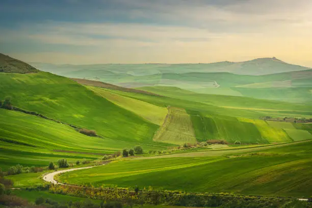 Puglia landscape, view of rolling hills near Poggiorsini. Green fields in spring. Bari province, Italy