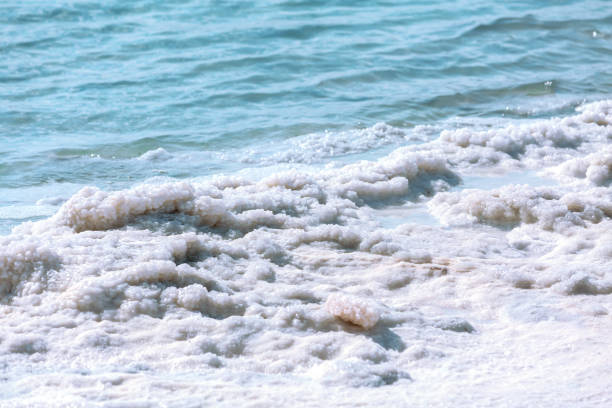 istock Close up Dead Sea salt mineral formations, Jordan 1455452546