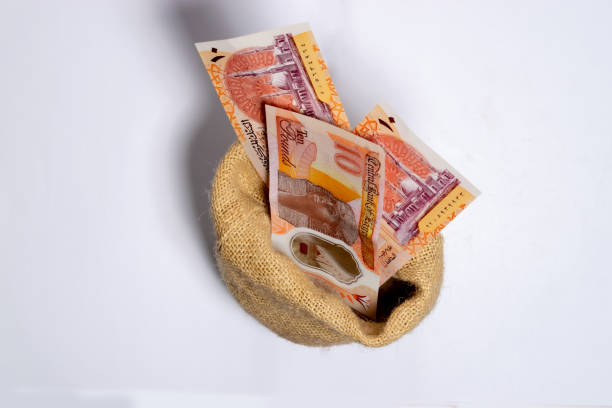 istock Egyptian 10 pound plastic coins in a burlap bag, isolated on a white background 1455453309