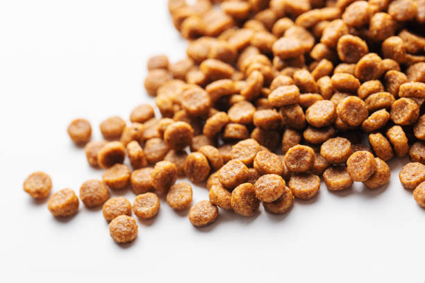 Dry feed pellets  for dogs on a white background. Healthy food for dogs