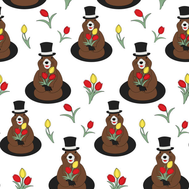 seamless pattern of a groundhog in a hat with a bouquet tulip in his paws and around. groundhog day - groundhog day tatil stock illustrations