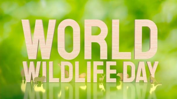 istock The animal and text for world wildlife day concept 3d rendering 1455460418