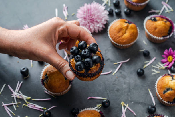 블루 베리 머핀을 들고 여성 손 - muffin blueberry muffin blueberry butter 뉴스 사진 이미지