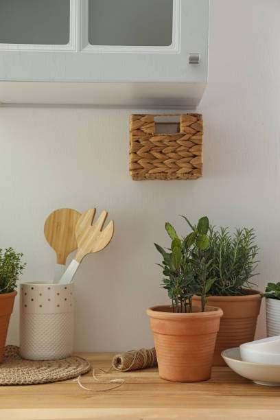 istock Different aromatic potted herbs on wooden table indoors 1455462545