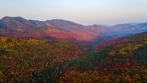 istock Aerial view of a beautiful autumn forest 1455462563