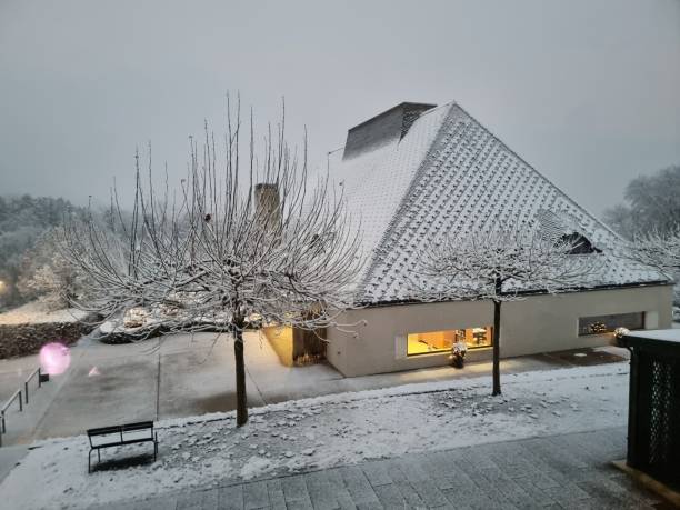 The Clinic Hohenegg was orginally founded and built as a psychiatric hospital in Meilen next to the Lake Zurich. 2006 the Clinic was privatized and rendamed as \