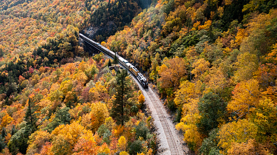 An aerial view of a train in beautiful autumn forest
