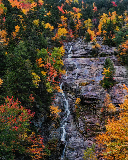 istock Cliff in a colorful autumn forest 1455463554