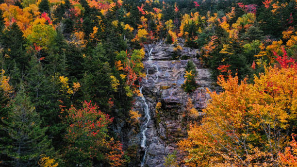 istock Cliff in a colorful autumn forest 1455463569