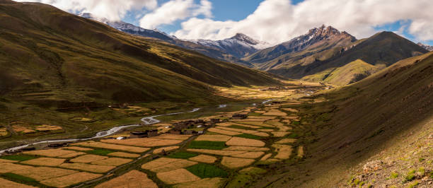 Dho_Tokyu-Tarap_ valley