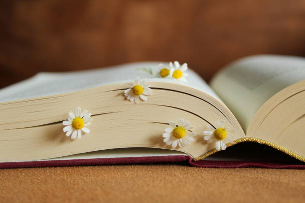istock Flowers blooming between the pages of a book 1455466228