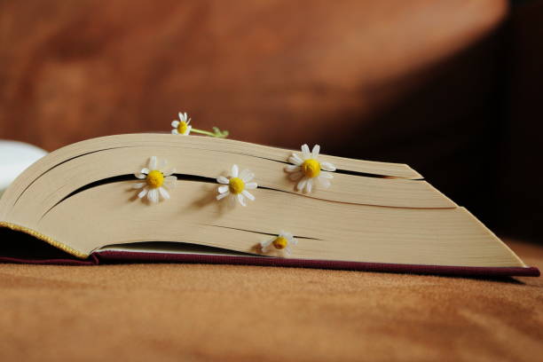 istock Flowers blooming between the pages of a book 1455466233