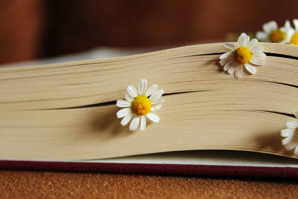 istock Flowers blooming between the pages of a book 1455466548