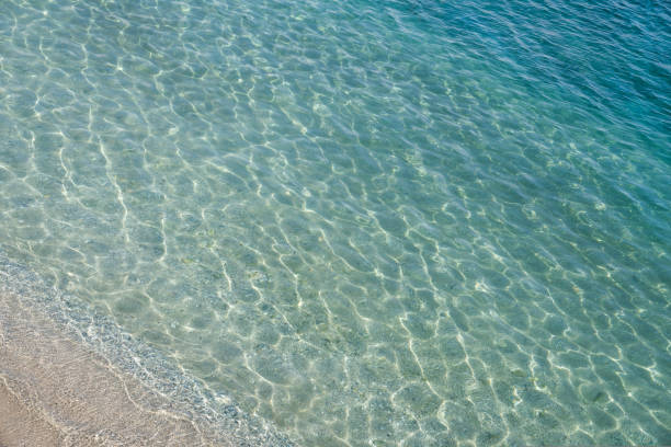 istock Sandy beach that goes under sea surface of water. Sun glare on water surface 1455467770