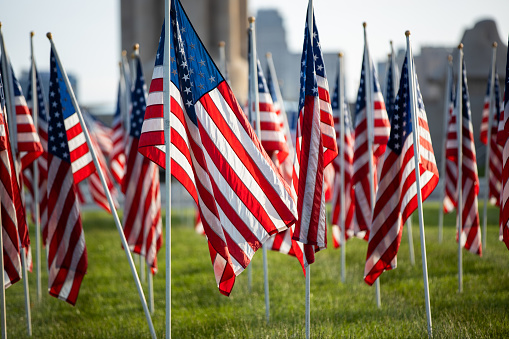 A field of thousands of American flags arranged to commemorate the deaths of 9/11.