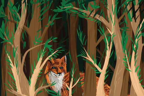 Vector illustration of Red fox in forest