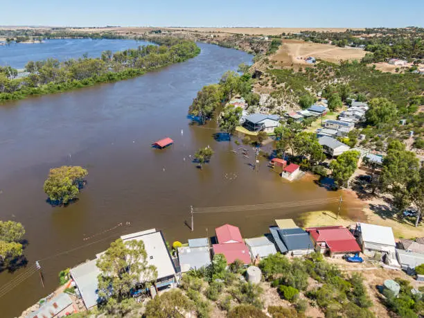 Aerial view of small River Murray community of Caloote threatened by rising floodwaters. The picnic area is underwater with facilities submerged, public toilets and some properties under threat. The normally popular public park area is a bay of muddy floodwater from the rapidly flowing river in the background. Dec 17, 2022.