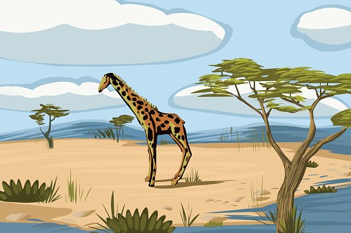 Illustration of giraffe in beautiful nature